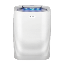 C Model